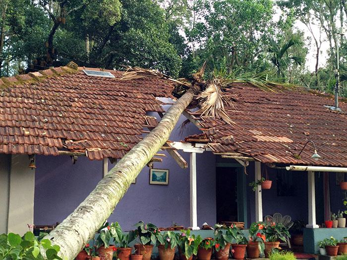 ಸೋಮವಾರಪೇಟೆ : ಬಿರುಗಾಳಿ ಮಳೆಗೆ ಹಾನಿ